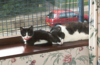 New home