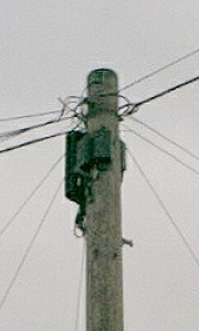 Up the Pole