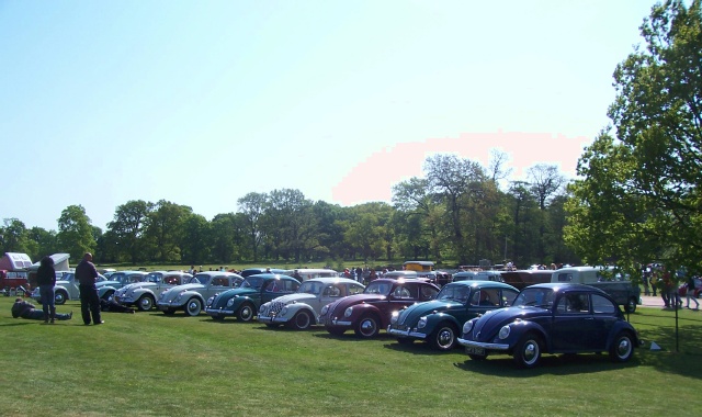 Historic Beetles